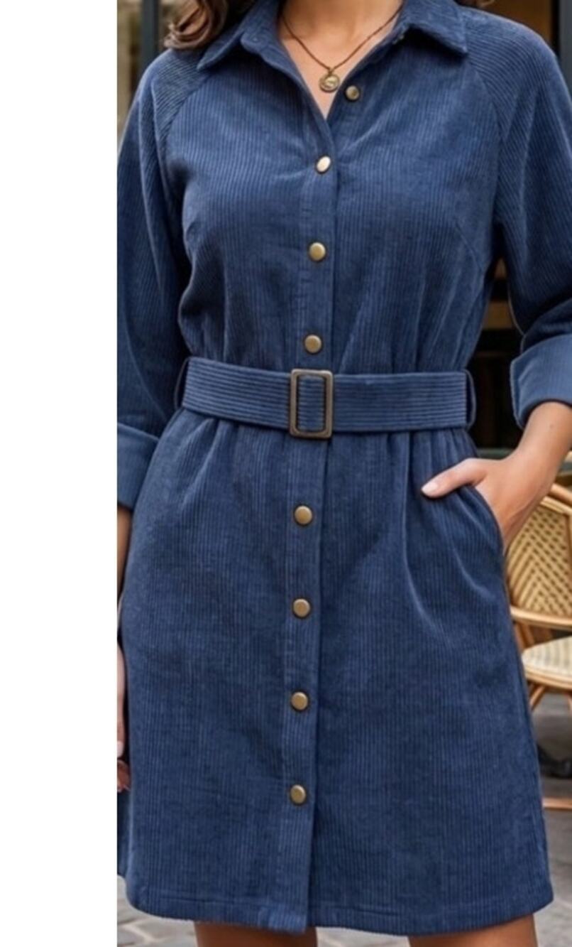 Adorable Anthro Molly Bracken Widewale Corduroy Style Belted Midi Dress